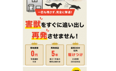 街角害獣駆除相談所の評判と口コミを徹底調査！料金やメリット・デメリットを解説