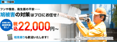 鳩110番の評判と口コミを徹底調査！料金やメリット・デメリットを解説